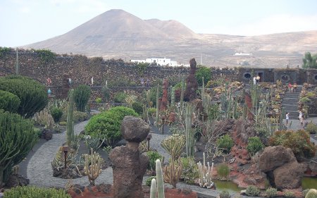 Jardín de cactus