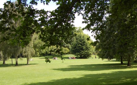 Todo verde en Hyde Park